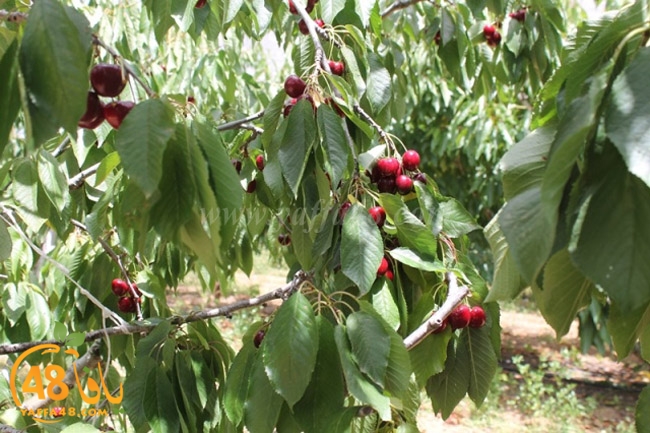 re7la a7ban (83).JPG